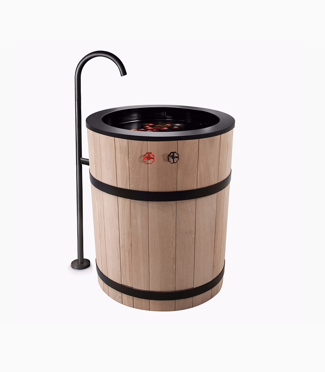 Euismod adipiscing egestas